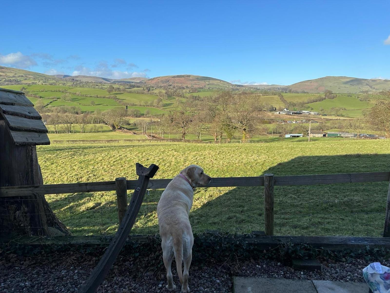 Llanrhaeadr-ym-Mochnant The Retreat 빌라 외부 사진